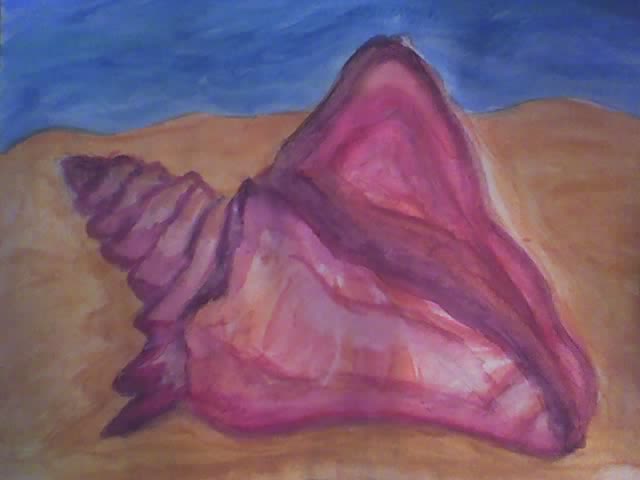 Conch Shell, by Debbie Rose